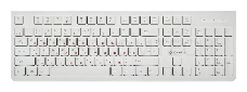 Клавиатура Oklick 505M белый USB slim
