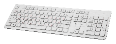 Клавиатура Oklick 505M белый USB slim