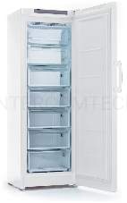 Морозильная камера Indesit DFZ 5175