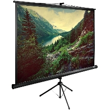 Экран Cactus 220x220см TriExpert CS-PSTE-220х220-BK 1:1 напольный рулонный