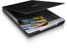 Сканер Epson Perfection V19, планшетный, A4, CIS, 4800x4800 dpi, USB 2.0