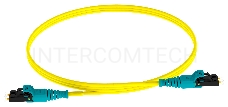 Патч-корд Panduit F92ELQ1Q1SNM002 2x9/125 OS1/OS2 LC push-pull-LC push-pull 2м LSZH