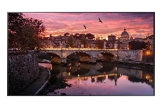 Панель Samsung 65 QB65B черный VA LED 8ms 16:9 DVI HDMI M/M матовая 4000:1 350cd 178гр/178гр 3840x2160 RCA 4K USB 24.9кг