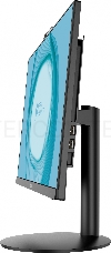Моноблок MSI PRO AP242 12M-299XRU   23.8(1920x1080 (матовый))/Intel Core i5 12400(2.5Ghz)/16384Mb/1000+256SSDGb/noDVD/Ext:Intel UHD Graphics/Cam/BT/WiFi/war 1y/4.63kg/Black/DOS