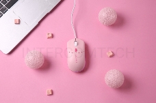 Мышь проводная Dareu LM121 Pink (розовый), DPI 800/1600/2400/6400, подсветка RGB, размер 116x35x60мм, 1,8м