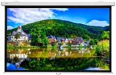 Настенный экран Lumien Master Picture CSR 196x244см (раб.область 146х234 см) (109