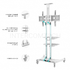 Стойка для телевизора с кронштейном ONKRON TS1881 50-86, мобильная, белая