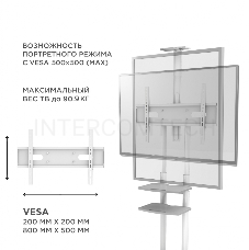 Стойка для телевизора с кронштейном ONKRON TS1881 50-86, мобильная, белая