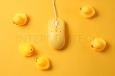 Мышь проводная Dareu LM121 Yellow (желтый), DPI 800/1600/2400/6400, подсветка RGB, размер 116x35x60мм, 1,8м