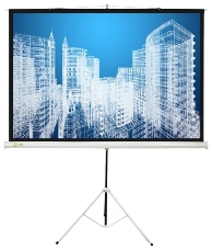 Экран Cactus 104.4x186см Triscreen CS-PST-104x186 1:1 напольный рулонный белый