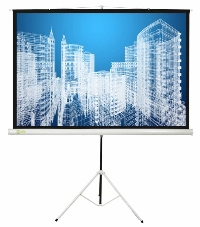 Экран Cactus 104.4x186см Triscreen CS-PST-104x186 1:1 напольный рулонный белый