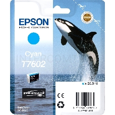 Картридж EPSON голубой для SC-P600 голубой