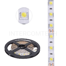 LED-лента 3 м 12 В 5050 6500 К IP23 60 LED/м для БП с клеммами LAMPER