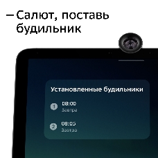 Смарт-дисплей Sber SberPortal голос.п.:Салют 30W черный (SBDV-00010)