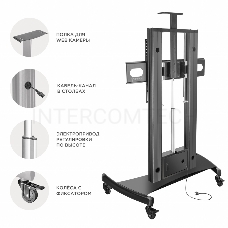 Стойка для телевизора с кронштейном ONKRON TS2210 55-100, мобильная, чёрная