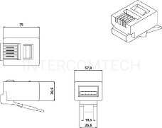 Разъём Hyperline, RJ12(6p4c), кат. 2, неэкр., для многожильного кабеля, 100 шт, цвет: прозрачный, (телефонный)