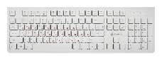 Клавиатура Oklick 505M белый USB slim