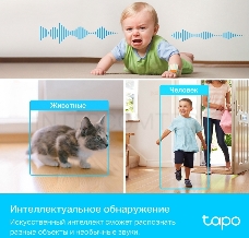 Умная домашняя поворотная камера TP-Link Tapo C225