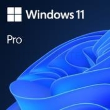 ПО OEM WIN 11 PRO 64B ENG 1PK FQC-10528 MS