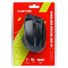 Мышь CANYON CNS-CMSW01BL Blue Gray pearl glossy USB {wireless mouse, optical tracking - blue LED, 2.4Ghz, 6 buttons, DPI 1000/1200/1600}