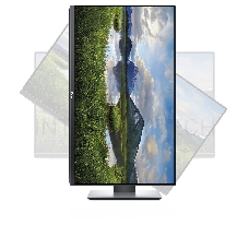 Монитор Dell 27 P2720D черный IPS LED 8ms 16:9 HDMI матовая HAS Pivot 1000:1 350cd 178гр/178гр 2560x1440 DisplayPort FHD USB 6.87кг