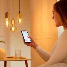Лампа светодиодная WiZ Wi-Fi BLE50WST64E27920-50Amb1PF/6