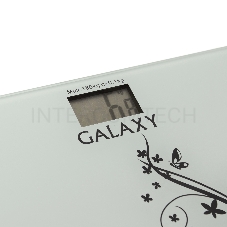 Весы Galaxy GL4800