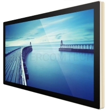 Профессиональный дисплей  Goodview 55