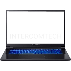 Ноутбук Dream Machines RS3060-17EU50
