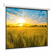 Экран настенный Digis Optimal-B DSOB-1104 MW 200х200 (1:1)