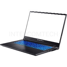 Ноутбук Dream Machines RS3060-17EU50