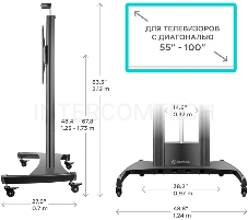 Стойка для телевизора с кронштейном ONKRON TS2210 55-100, мобильная, чёрная