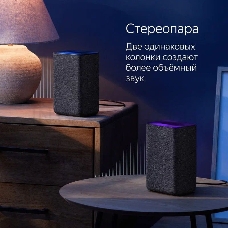 Яндекс.Станция 2  цвет медный (YNDX-00051C)