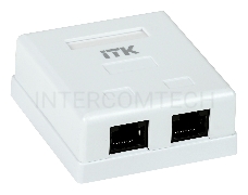 Настенная информационная розетка RJ45 8P8C, кат.5Е UTP, 2-порта, белая