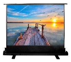 Экран Cactus 113x200см FloorExpert CS-PSFLE-200X113 16:9 напольный рулонный