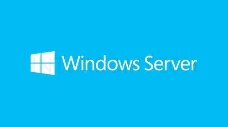 ПО Microsoft Windows Server 2019 Std 5 Clt 64 bit Eng BOX (P73-07680)