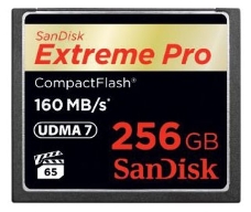 Флеш карта CF 256Gb Sandisk SDCFXPS-256G-X46