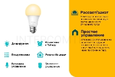 Умная Wi-Fi лампа TP-Link Tapo L510E Smart Wi-Fi Light Bulb, Dimmable, E27 base, 2700K, 220V, 50/60 Hz, 60W Equivalent, Energy Class A+, 2.4GHz, 802.11b/g/n, Tapo APP, Works with Alexa and Google Assistant, Timer and Schedule settings, 2pack