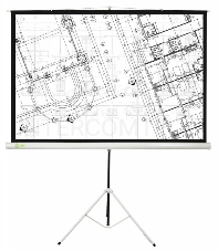 Экран Cactus 127x127см Triscreen CS-PST-127X127 1:1 напольный рулонный белый