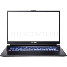 Ноутбук Dream Machines RG3060-17EU37