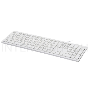 Клавиатура Oklick 500M белый USB slim Multimedia