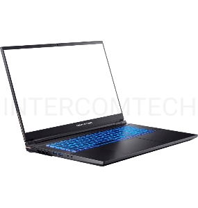Ноутбук Dream Machines RS3080-17EU50
