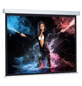 Экран Cactus 168x299см Wallscreen CS-PSW-168x299 16:9 настенно-потолочный рулонный белый