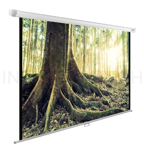Экран Cactus 220x220см WallExpert CS-PSWE-220x220-WT 1:1 настенно-потолочный рулонный