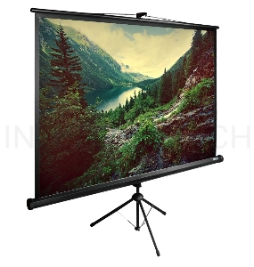 Экран Cactus 220x220см TriExpert CS-PSTE-220х220-BK 1:1 напольный рулонный