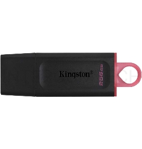Флеш диск KINGSTON 256GB USB3.2 Gen1 DataTraveler Exodia (Black + Pink)