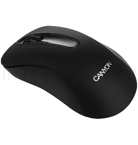 Мышь CANYON CNE-CMSW2 Black USB