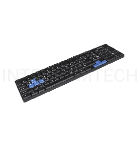 Клавиатура ExeGate EX283618RUS Professional Standard LY-402N (USB, полноразмерная, 102кл, 8 голубых клавиш, черная, Color box)