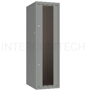 Шкаф коммутационный C3 Solutions Basic.2 24-66.GF13.SD2.BF22 G (NT565681) напольный 24U 600x600мм пер.дв.стекл задн.дв.спл.стал.лист 2 бок.пан. направл.под закл.гайки 600кг серый 457мм 50кг IP20 сталь
