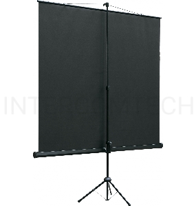 Экран на штативе Lumien Eco View 183x244см (раб.область175х236 см) Matte White с возможностью настенного крепления 4:3